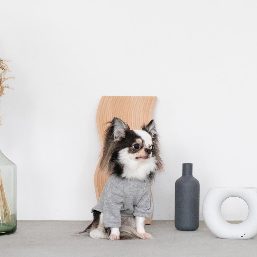 back ribbon sweat tops