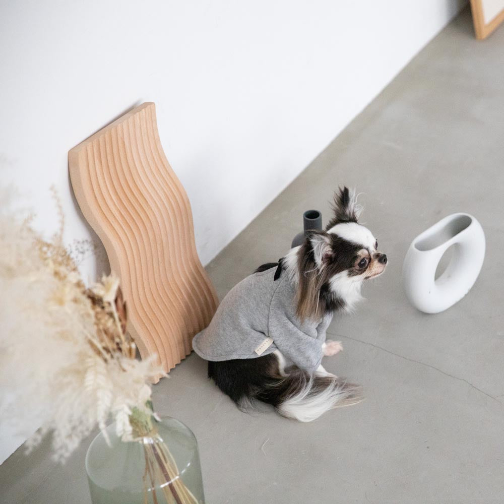 back ribbon sweat tops