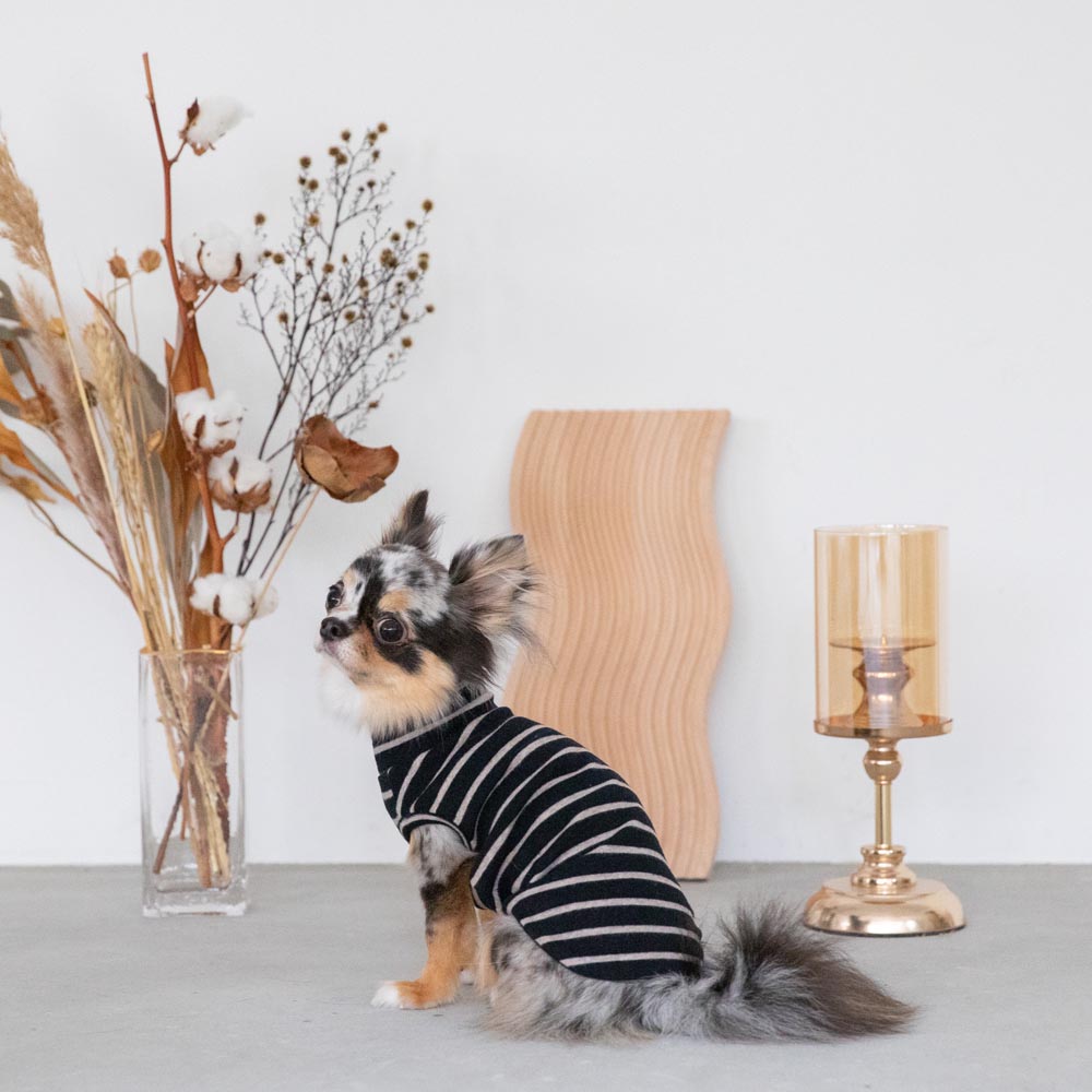 ボーダーハイネックトップス