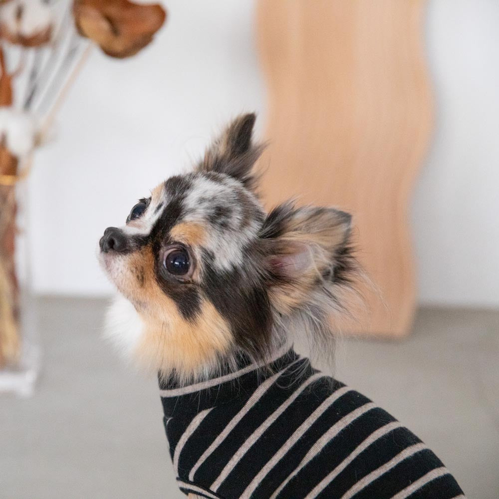 ボーダーハイネックトップス