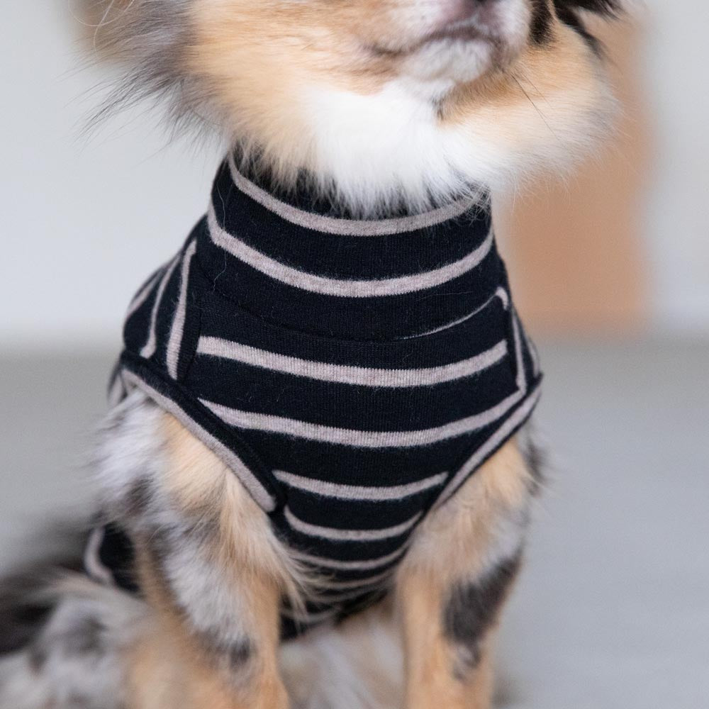 ボーダーハイネックトップス