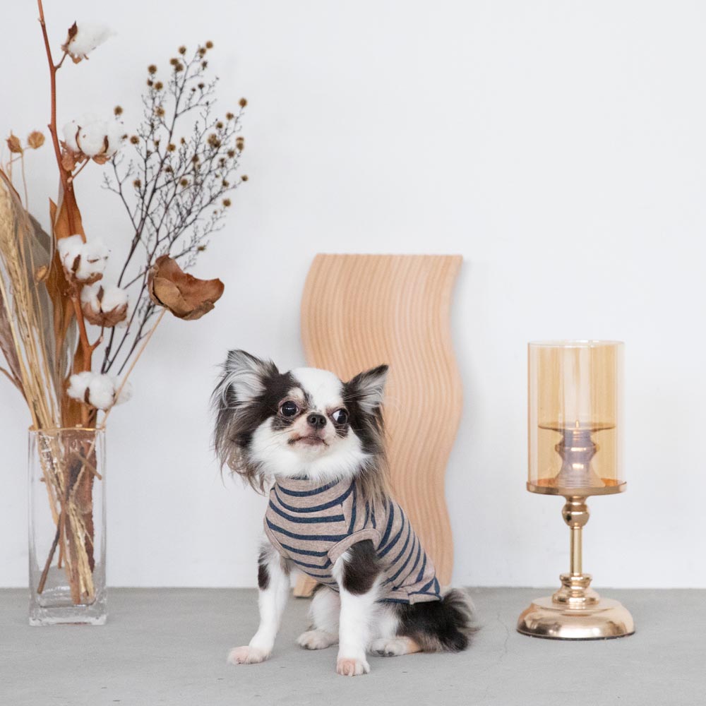 ボーダーハイネックトップス