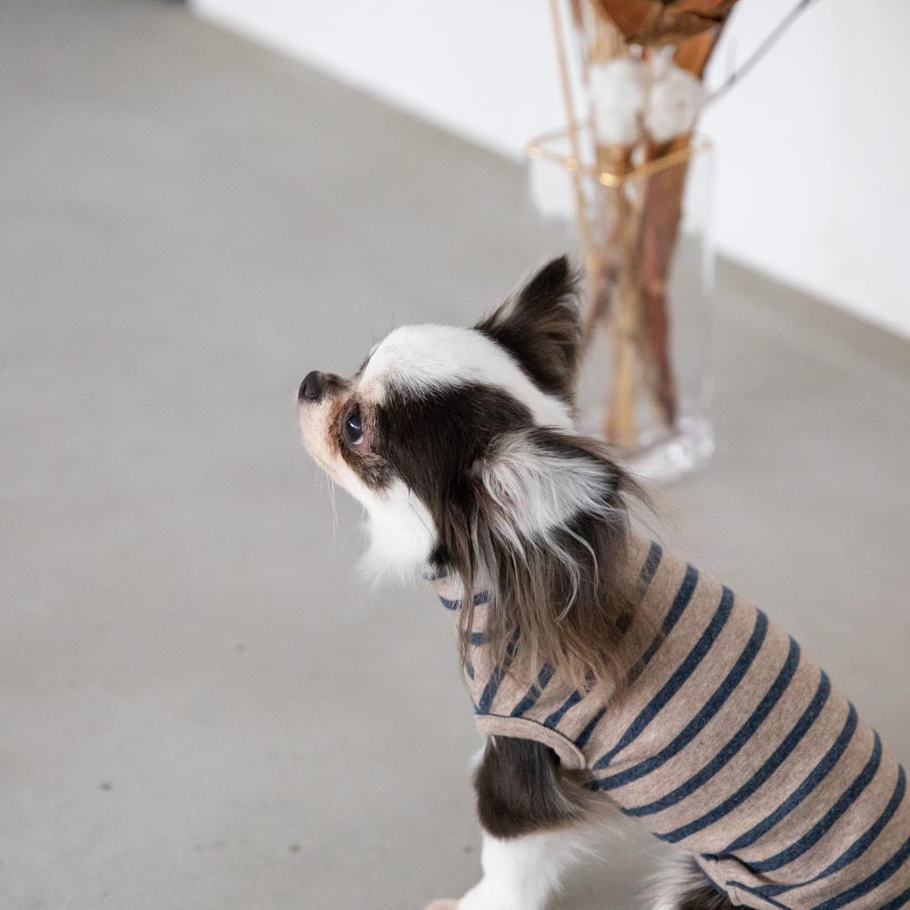 ボーダーハイネックトップス