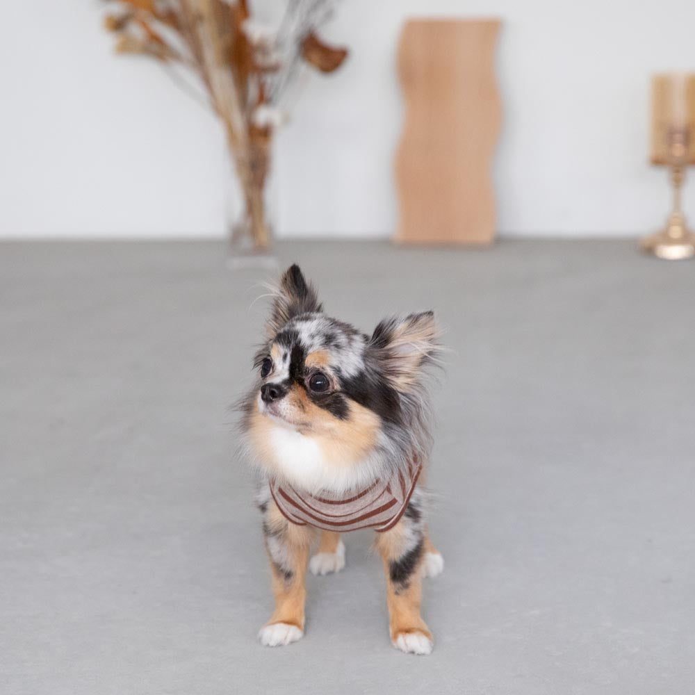 ボーダーハイネックトップス