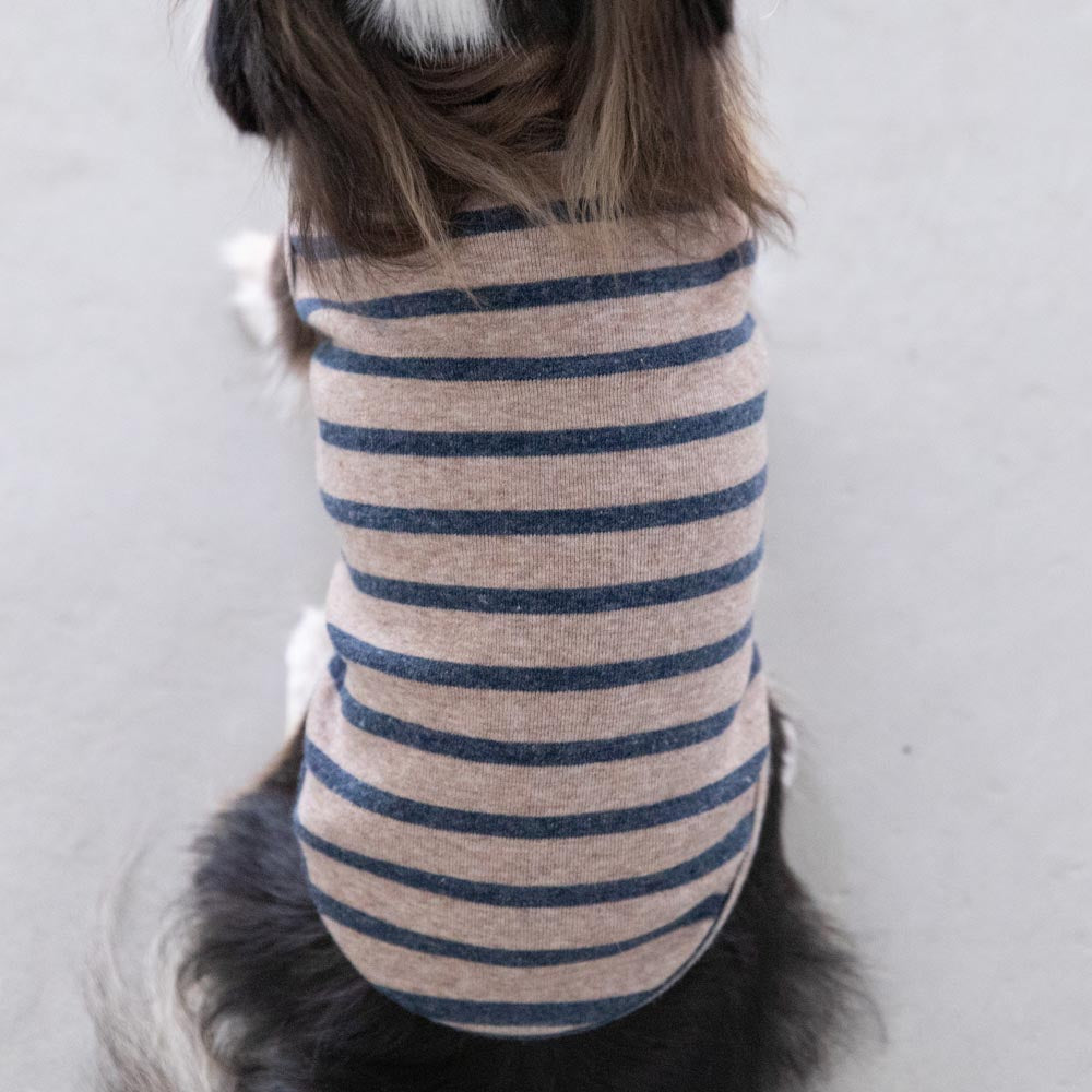 ボーダーハイネックトップス