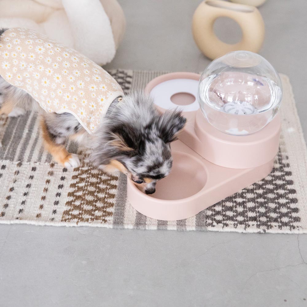 automatic watering pet food bowl