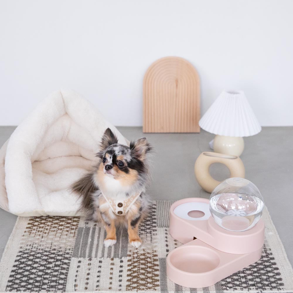 automatic watering pet food bowl