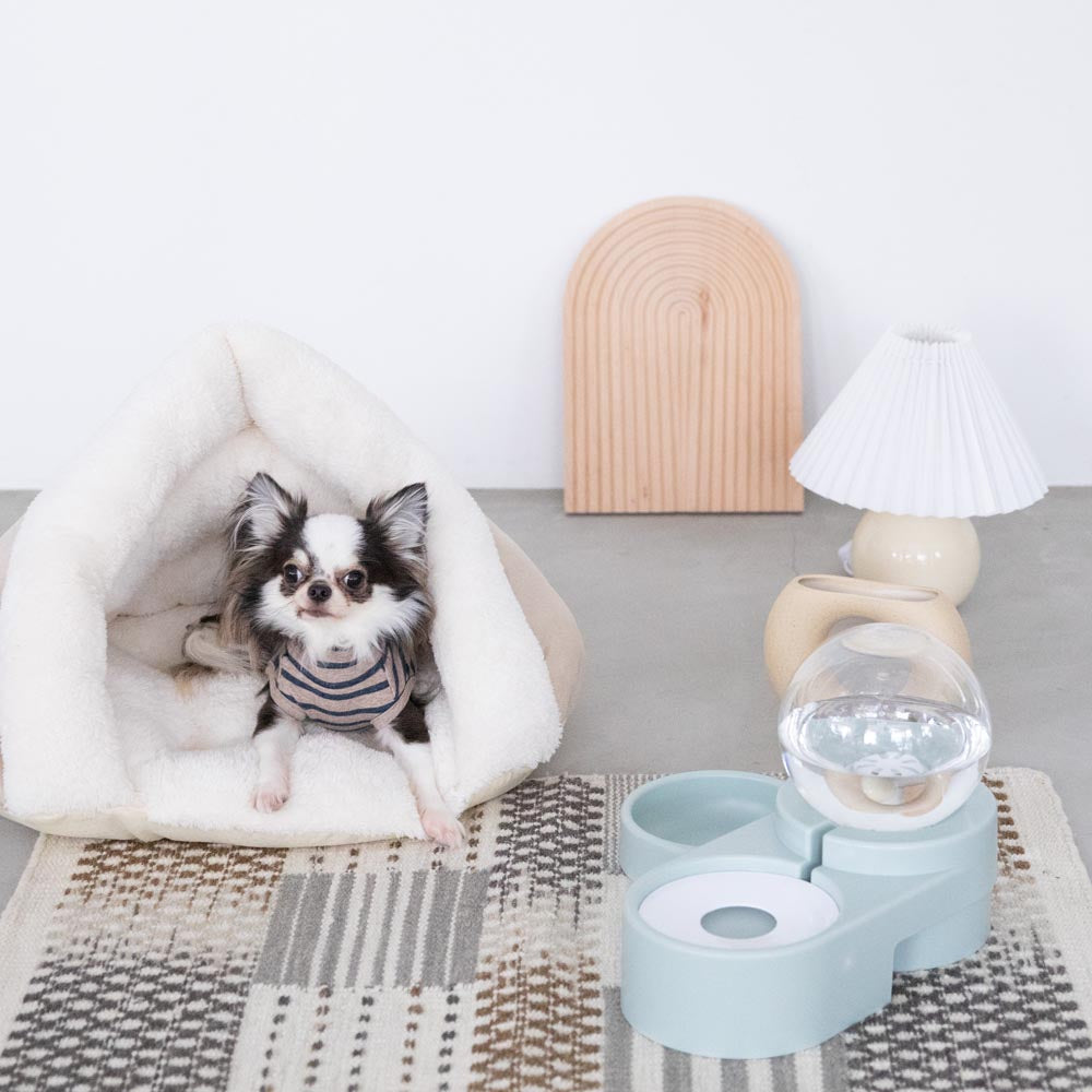 automatic watering pet food bowl
