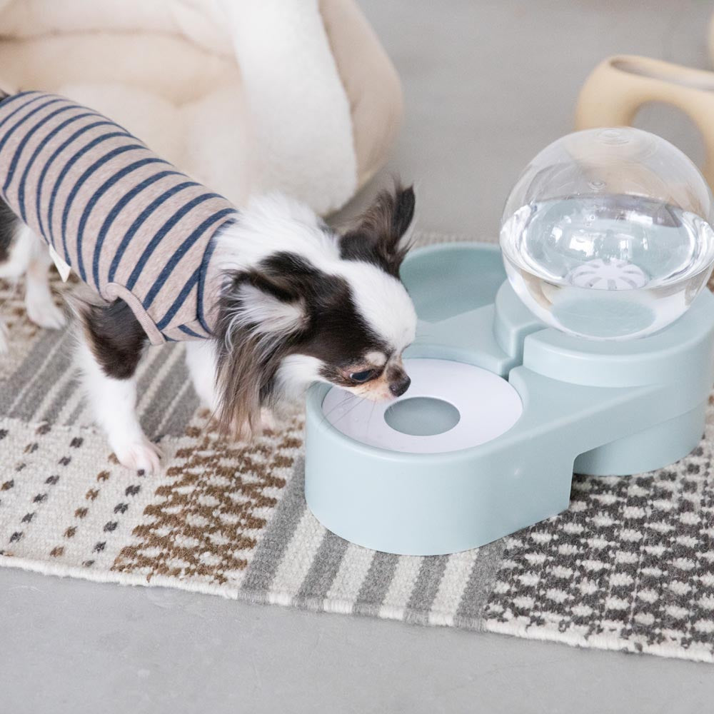 automatic watering pet food bowl