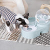 Automatic water supply pet food bowl