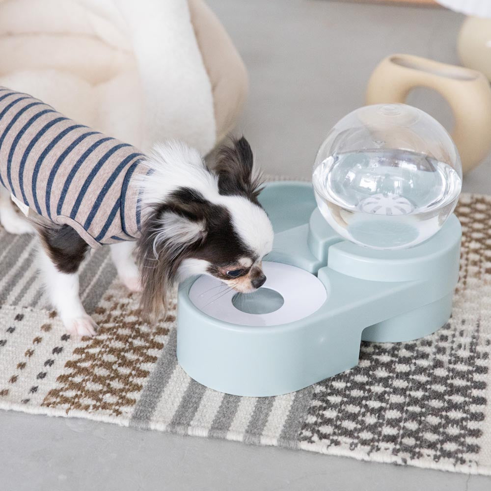 automatic watering pet food bowl