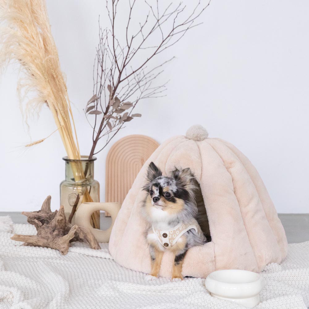 Dome-shaped semi-closed pet house with cushion