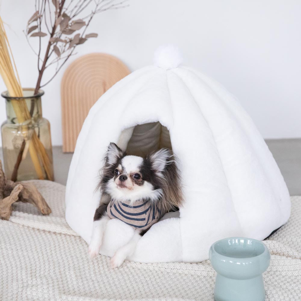 Dome-shaped semi-closed pet house with cushion