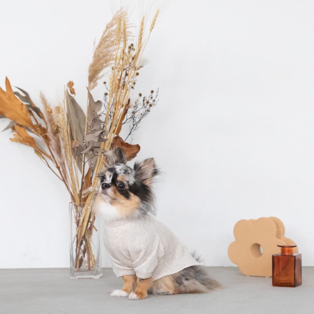 back ribbon sweat tops