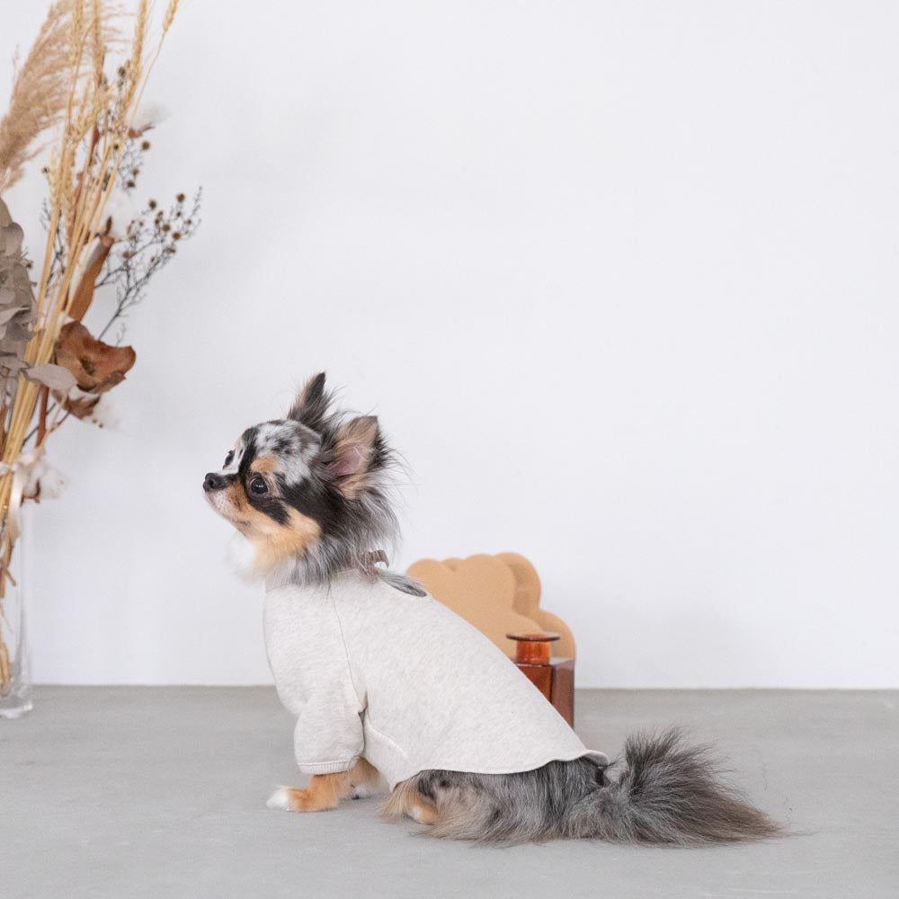 back ribbon sweat tops