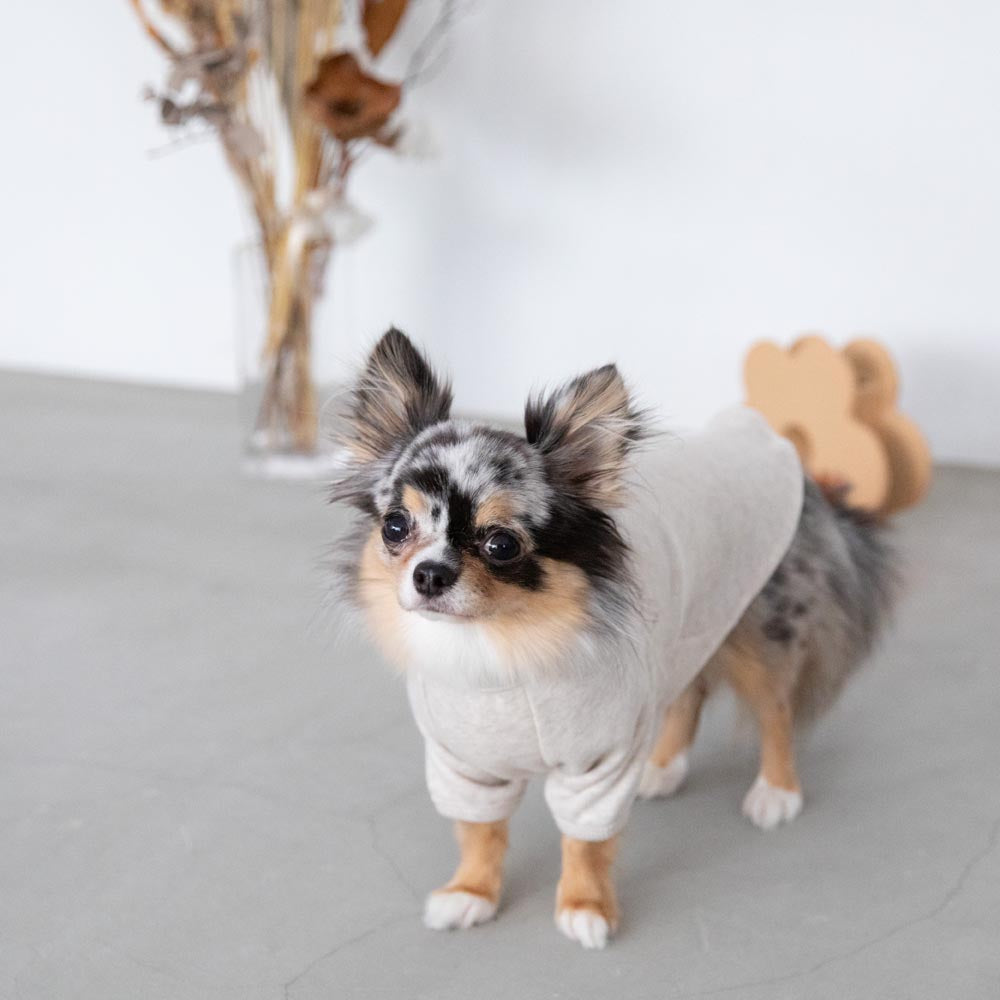 back ribbon sweat tops