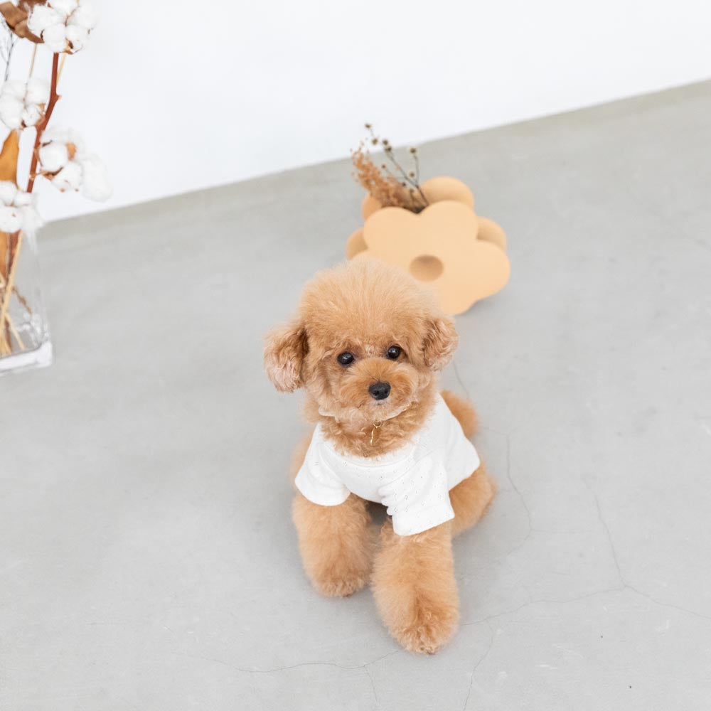 ピコレースデザインプルオーバー