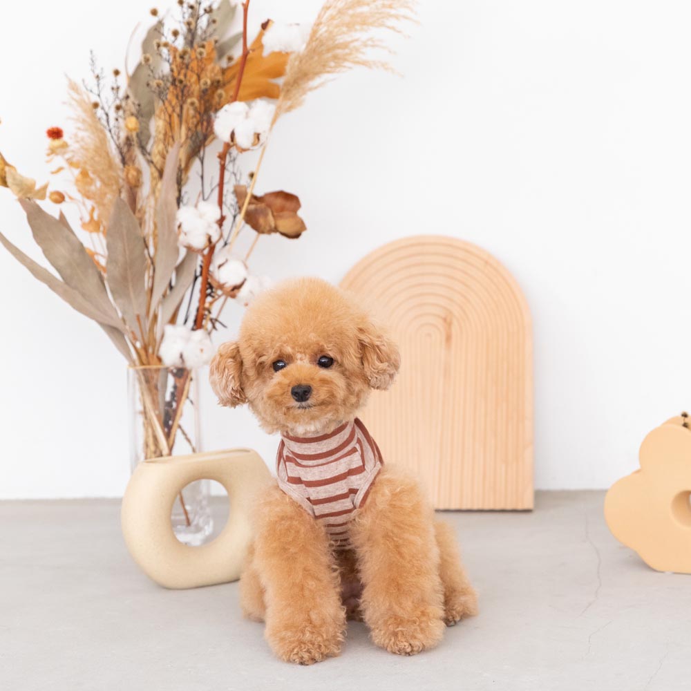 ボーダーハイネックトップス