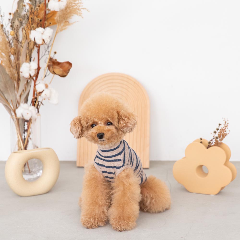 ボーダーハイネックトップス