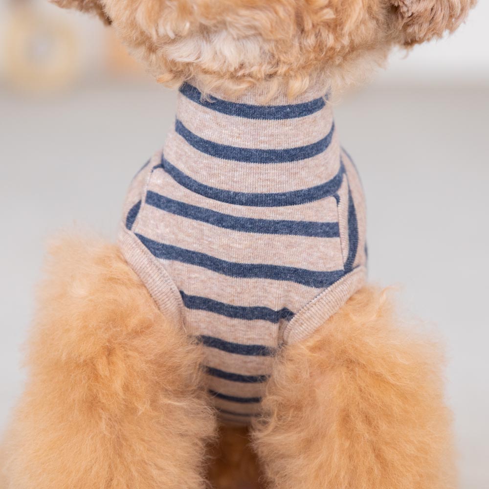 ボーダーハイネックトップス