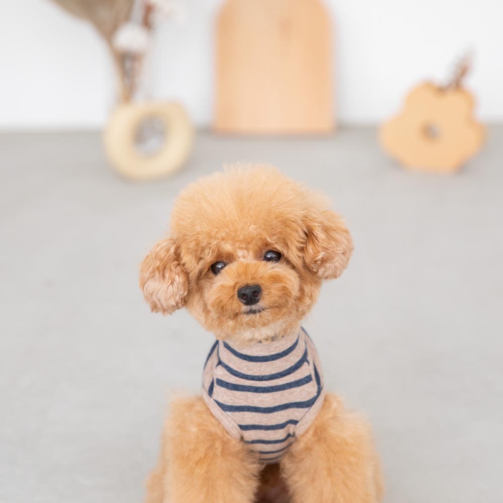 ボーダーハイネックトップス