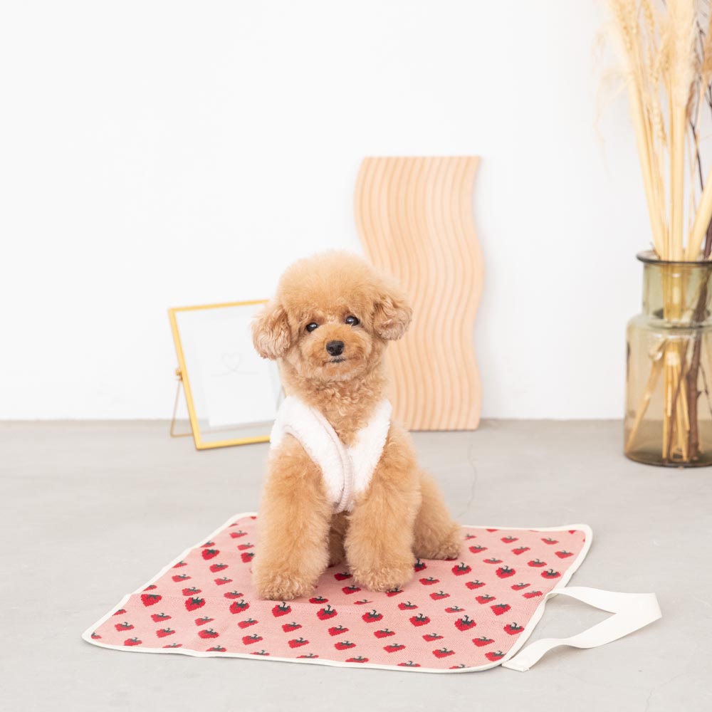 Strawberry cafe mat [Compatible with name embroidery]