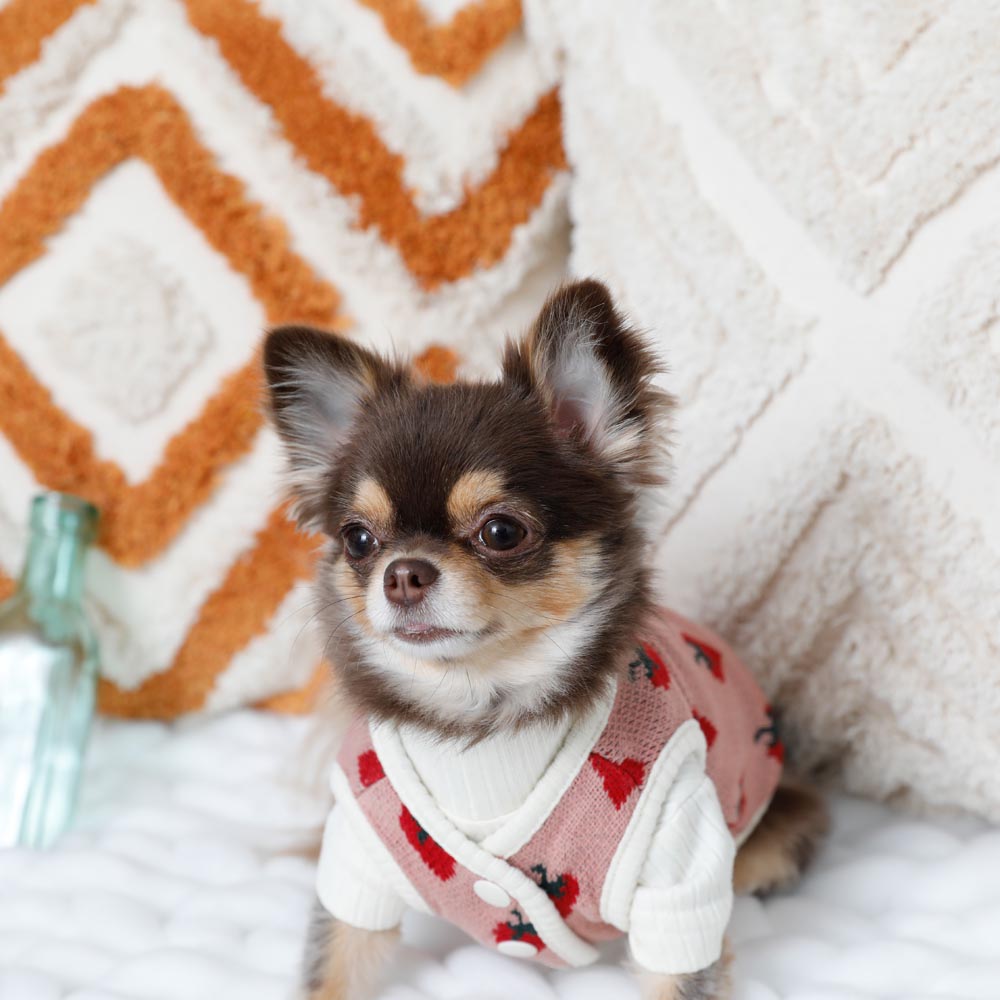 strawberry knit vest jacket