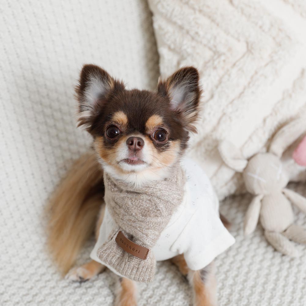 cashmere blend cable muffler