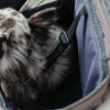 Space capsule pet backpack
