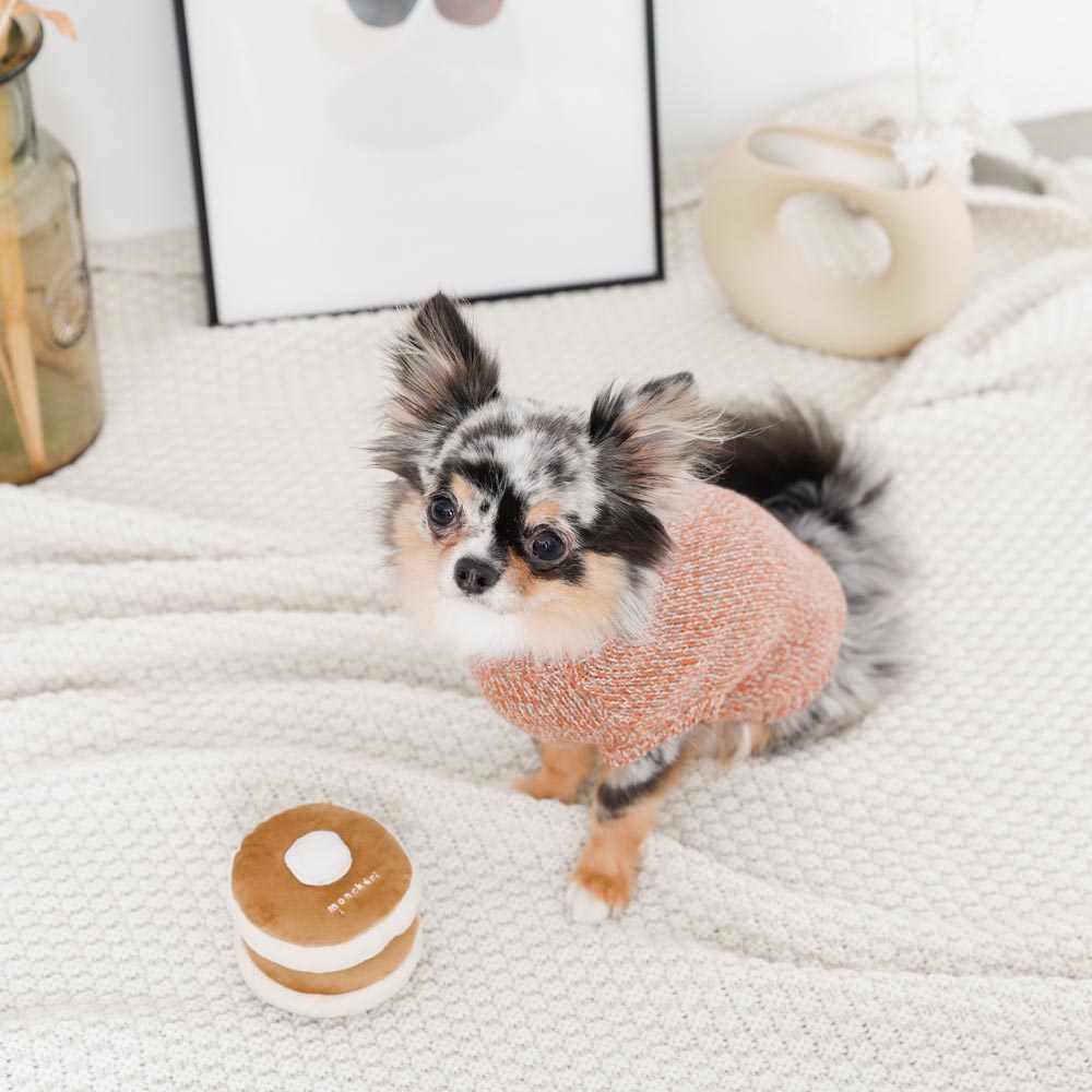 鼻子工作热蛋糕