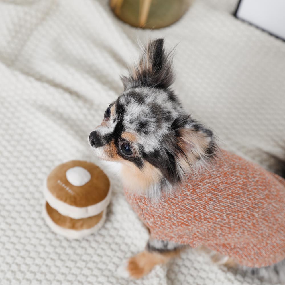 鼻子工作热蛋糕