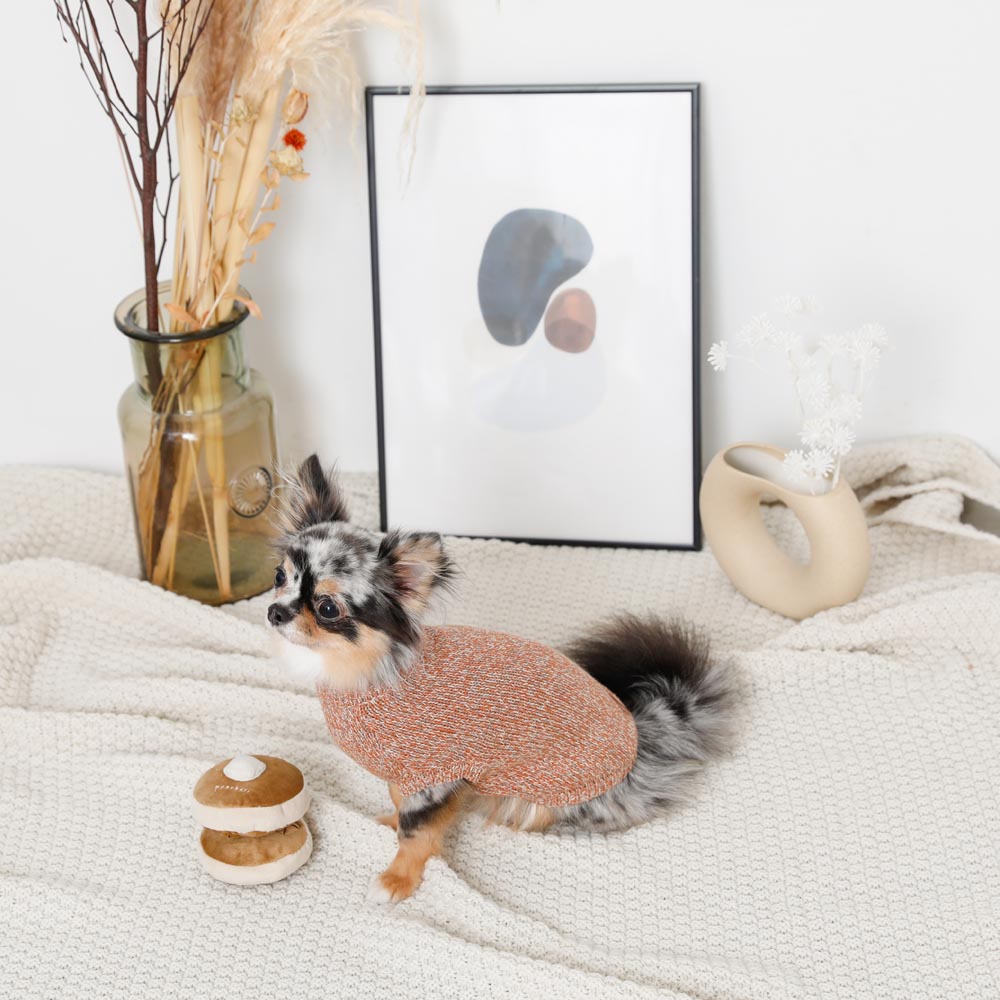 鼻子工作热蛋糕