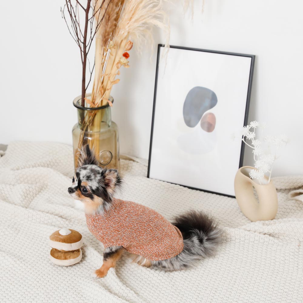 鼻子工作热蛋糕