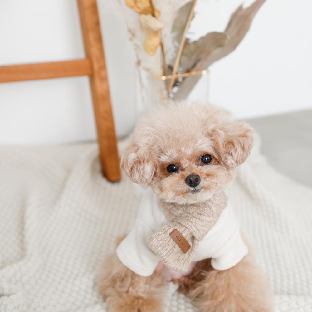 cashmere blend cable muffler