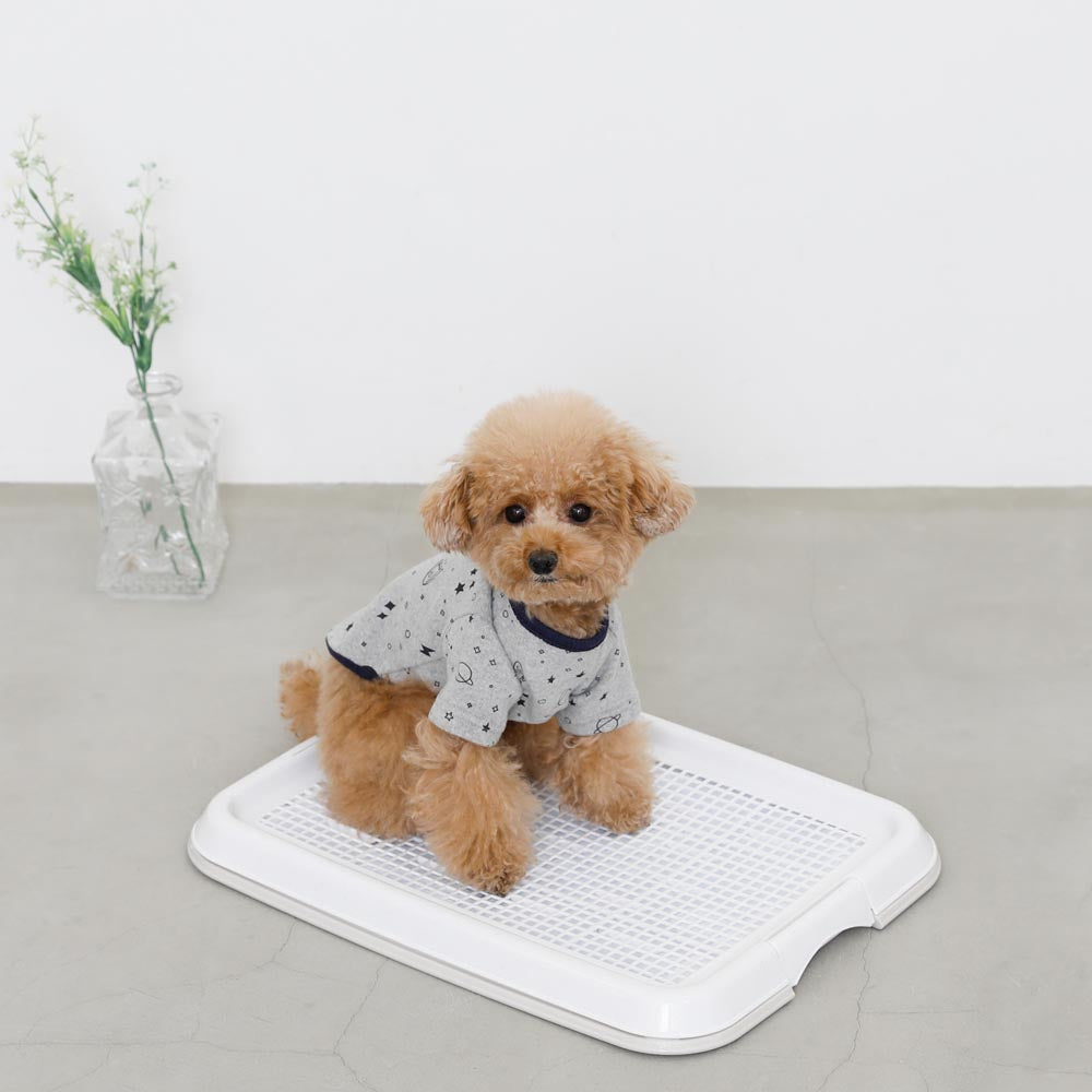 Pet training simple toilet tray