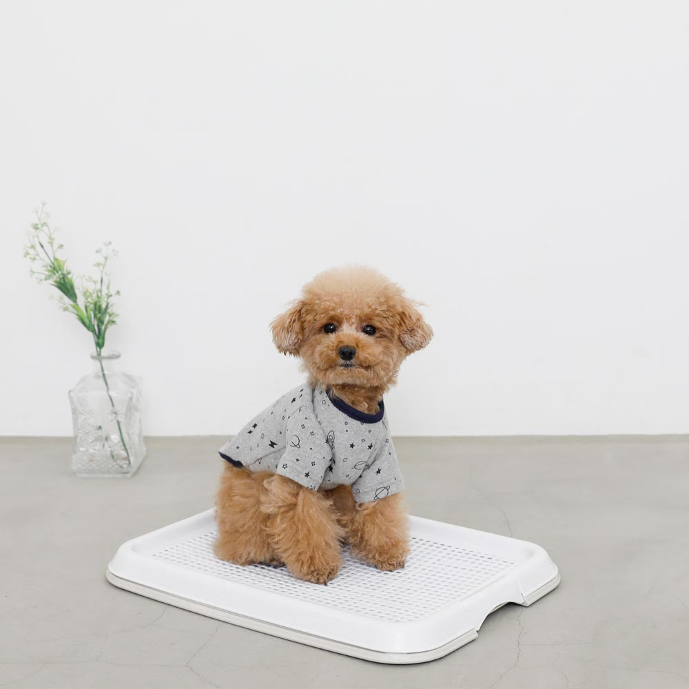 Pet training simple toilet tray