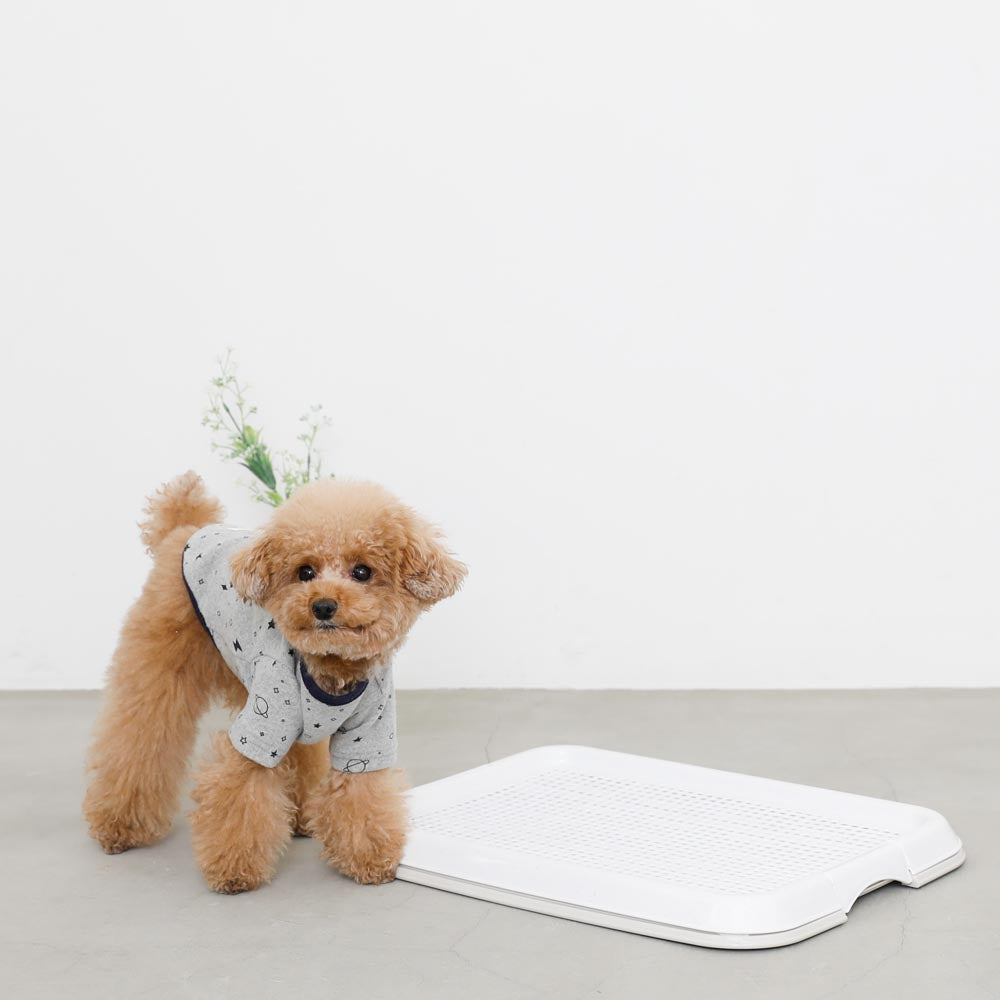 Pet training simple toilet tray