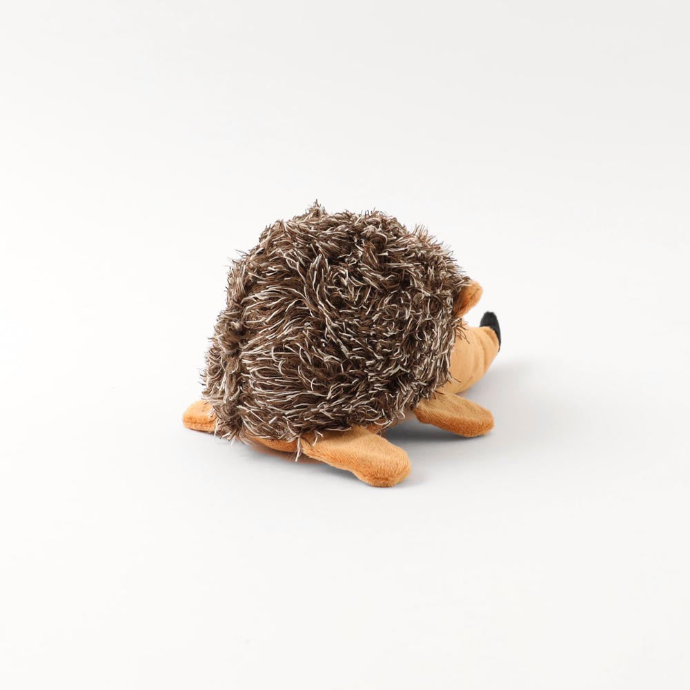 Mr. Hedgehog