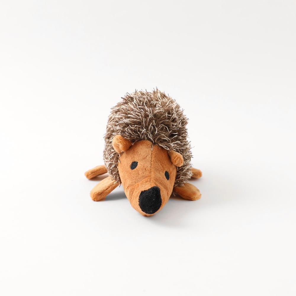 Mr. Hedgehog