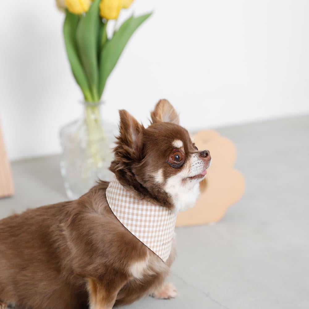 [Charity] Reversible bandana