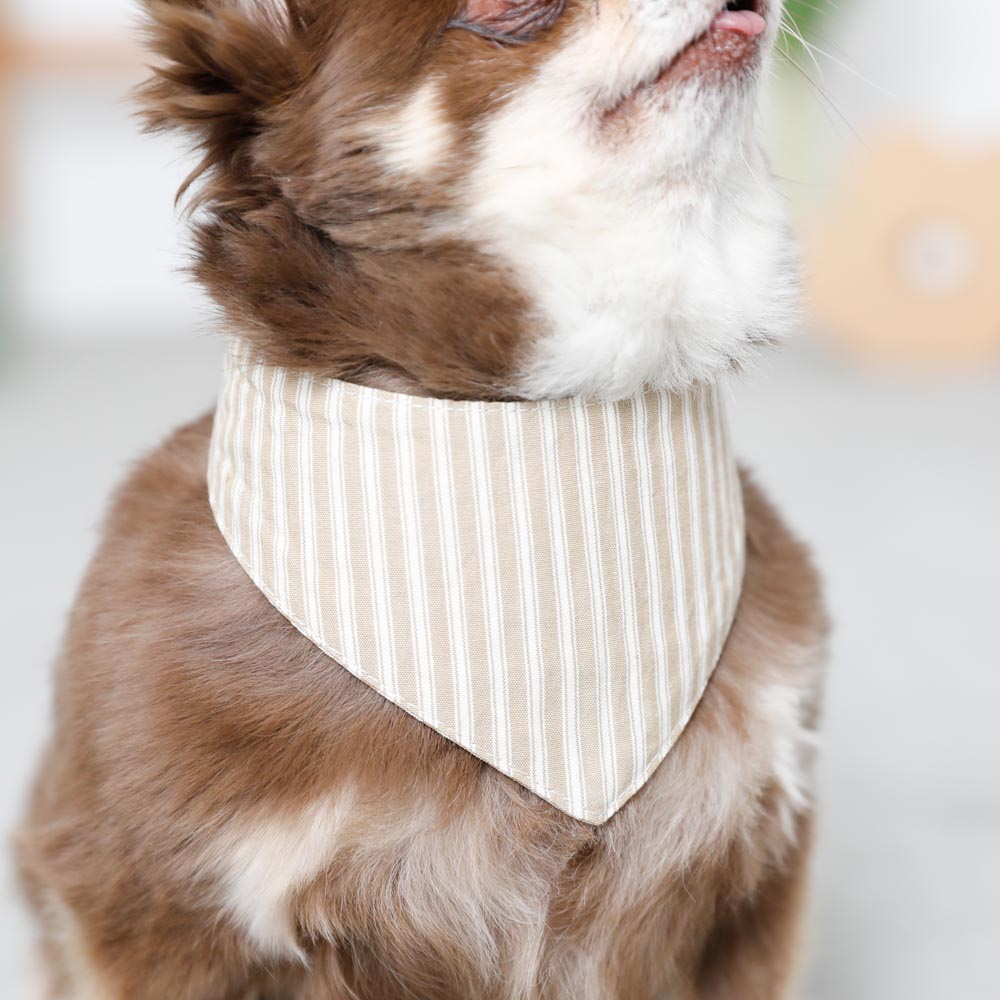 [Charity] Reversible bandana