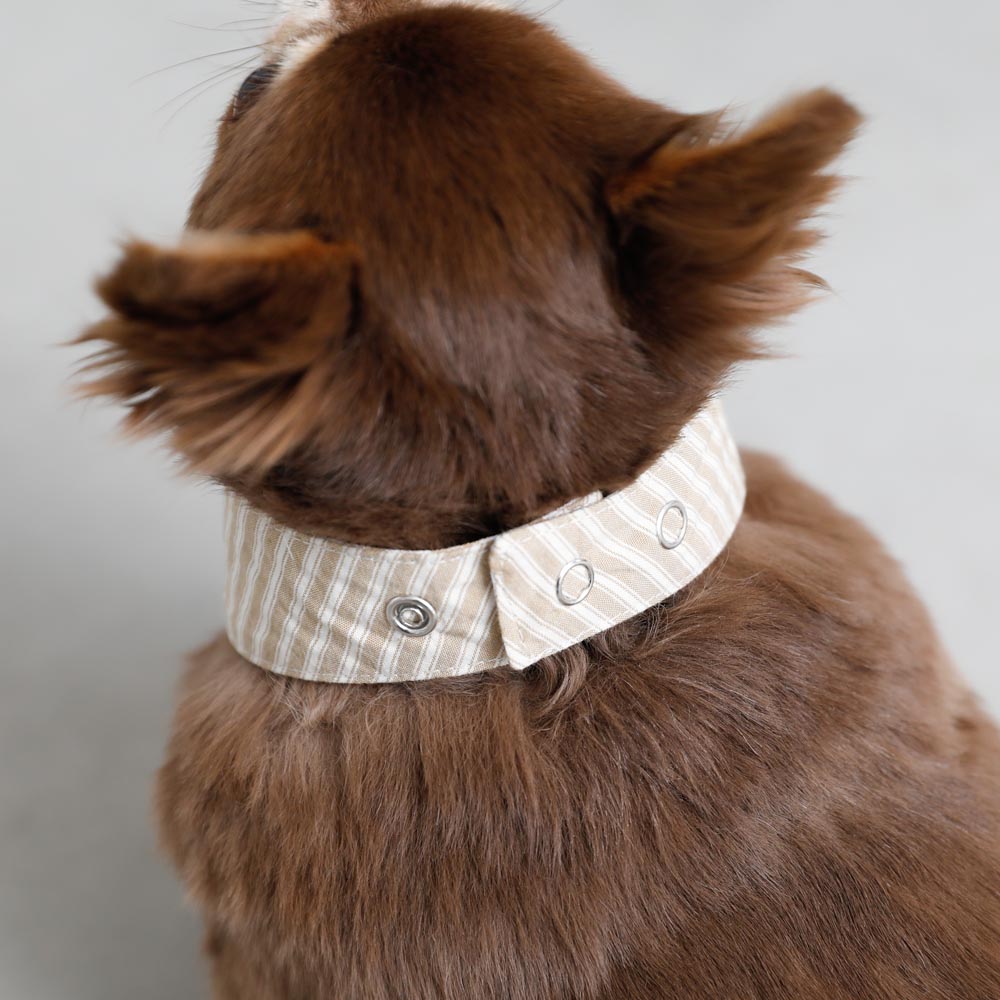 [Charity] Reversible bandana