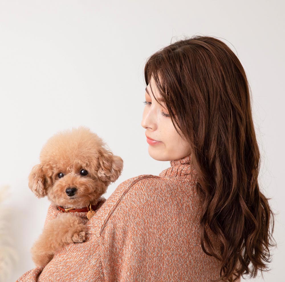 [Link Coordination SET] Cashmere cotton mix knit