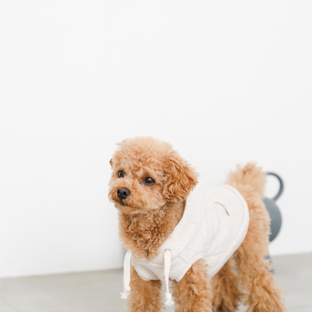 Oatmeal color hoodie