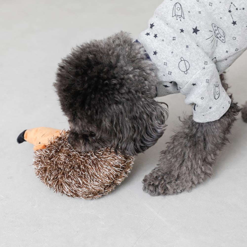 Mr. Hedgehog