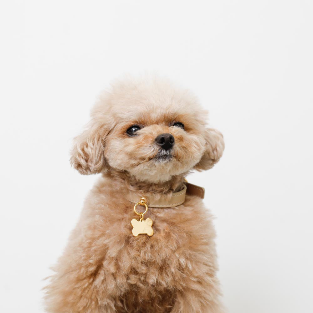 Bone charm leather color [Supports name engraving]