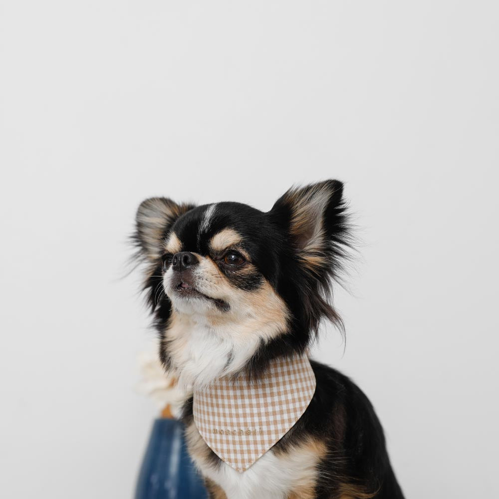 [Charity] Reversible bandana