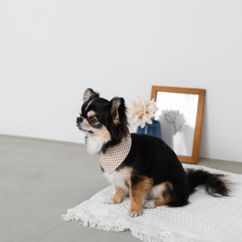 [Charity] Reversible bandana