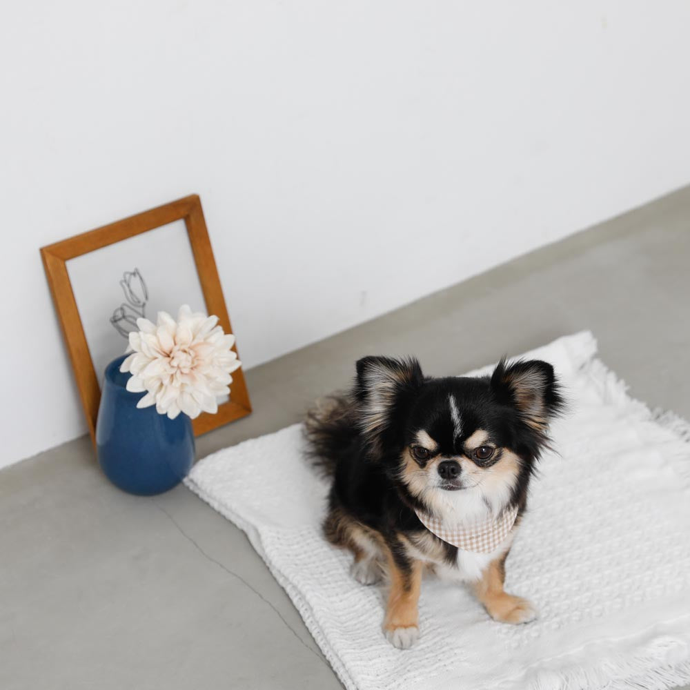 [Charity] Reversible bandana