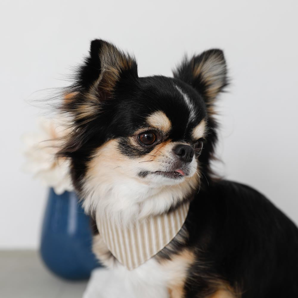[Charity] Reversible bandana
